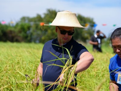 SS Rice News Convention 2025, Pattaya - Thailand